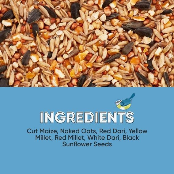 Happy Beaks - Wild Bird No Wheat Seed Mix